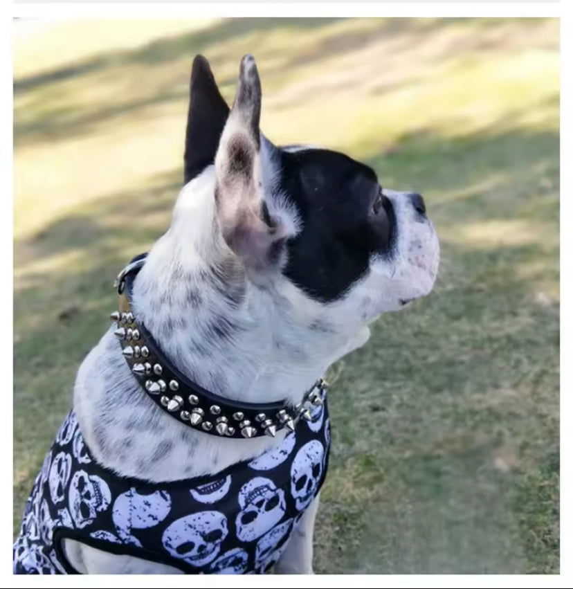 BoldPaw™ – Collier en cuir rétro