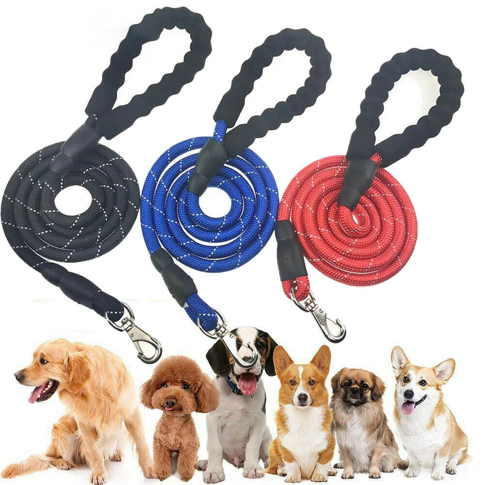 FreePaw™ – Laisse Mains Libres